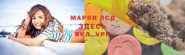 индика Богданович