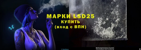 индика Богданович