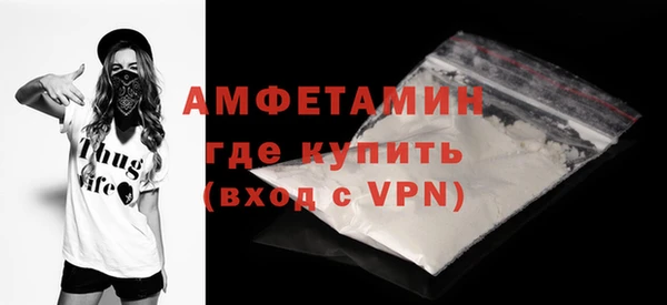 индика Богданович