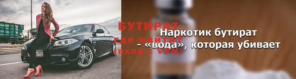 индика Богданович