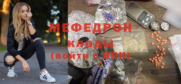 индика Богданович