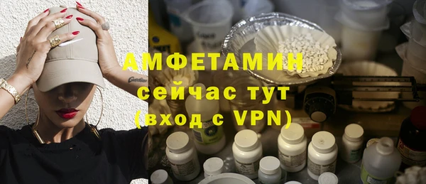 a pvp Бородино
