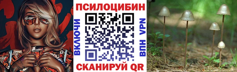 где продают Гремячинск Галлюциногенные грибы Psilocybe